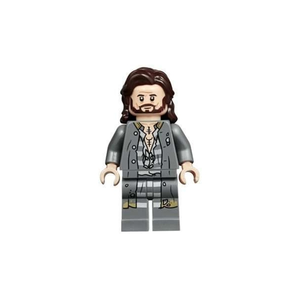 LEGO Harry Potter Sirius Black Minifigure from 75945