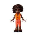 Friends Minifigures